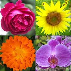 Взлом Flowers Quiz - Identify Plants  [МОД Много монет] - последняя версия apk на Андроид