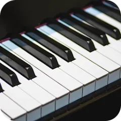Скачать взлом Real Piano (Реал Пиано)  [МОД Бесконечные монеты] - полная версия apk на Андроид