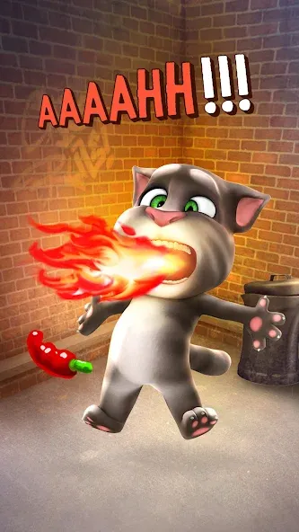 Talking Tom Cat  [МОД Много монет] Screenshot 4
