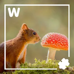 Скачать взломанную 7000 words (семь тысяч)  [МОД Меню] - полная версия apk на Андроид