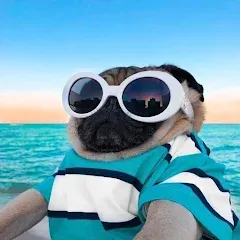 Взлом 10000 words (десять тысяч)  [МОД Unlimited Money] - последняя версия apk на Андроид