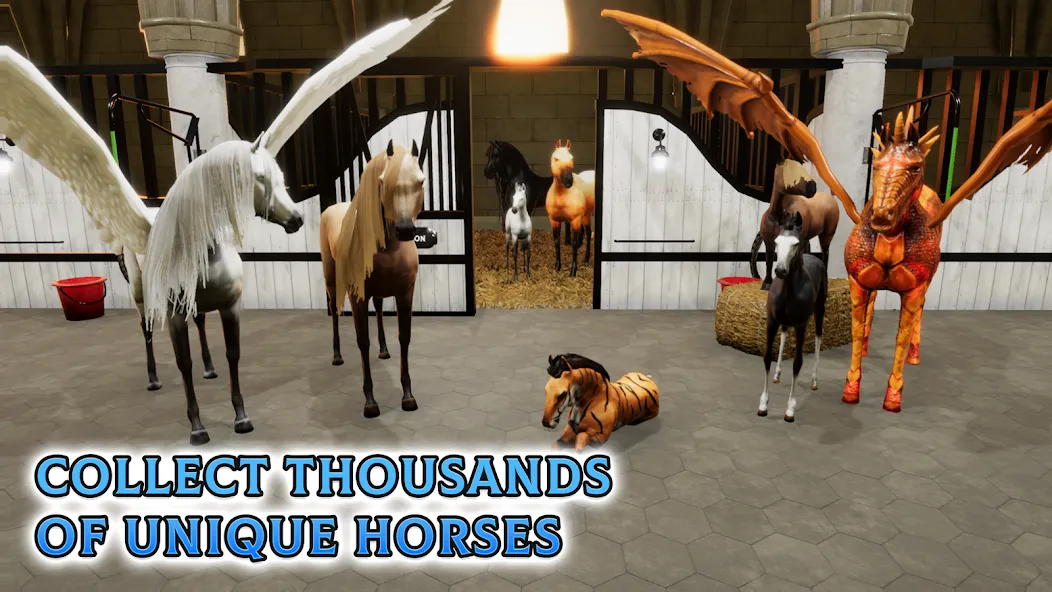 Horse Academy - Equestrian MMO (Хорс Академи)  [МОД Unlimited Money] Screenshot 5